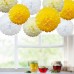 9 Pack Mixed Tissue Paper Pompom Pom Poms Hanging Garland Wedding Party Decor